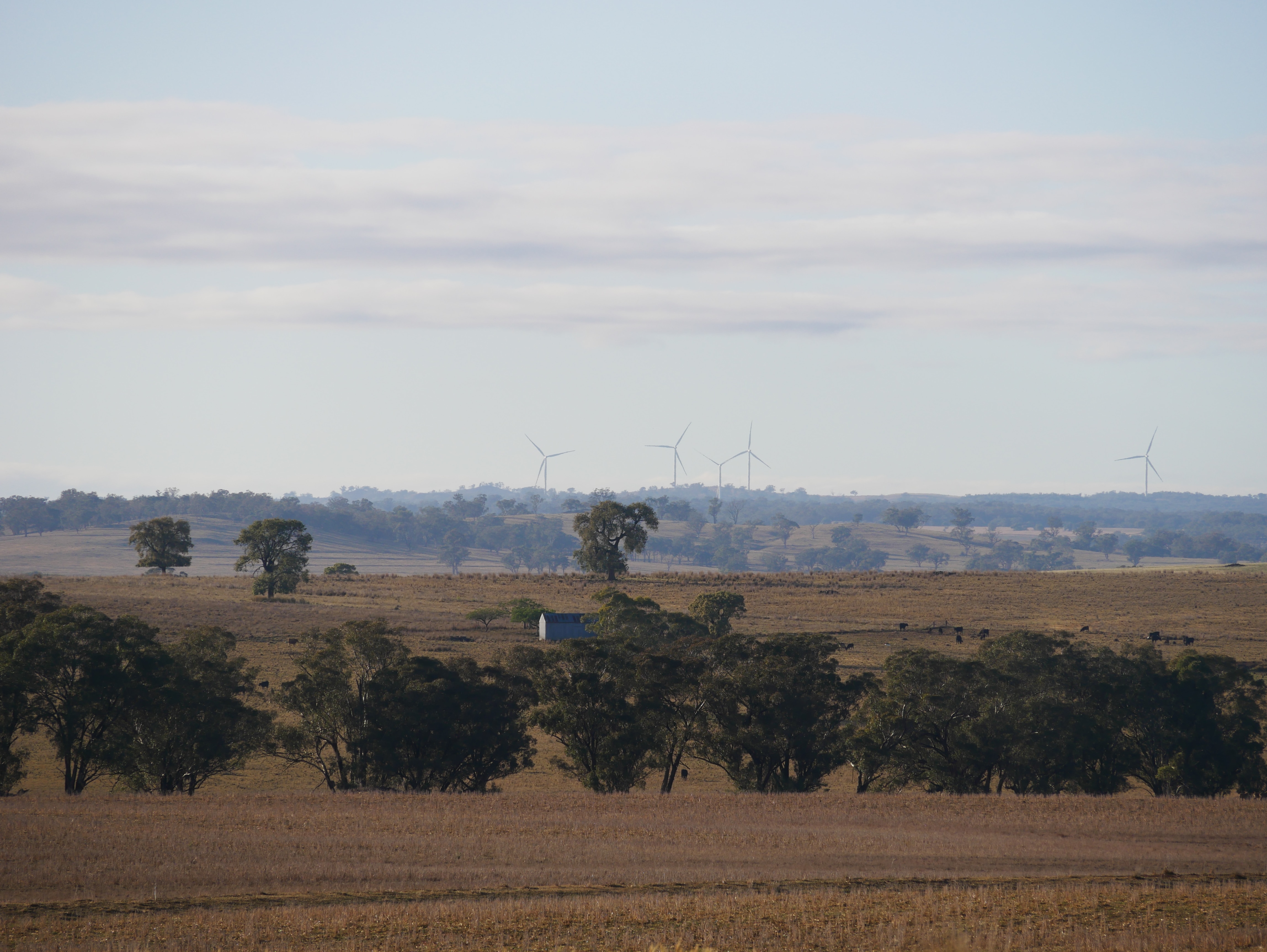 Landscape with wind turbines in distance