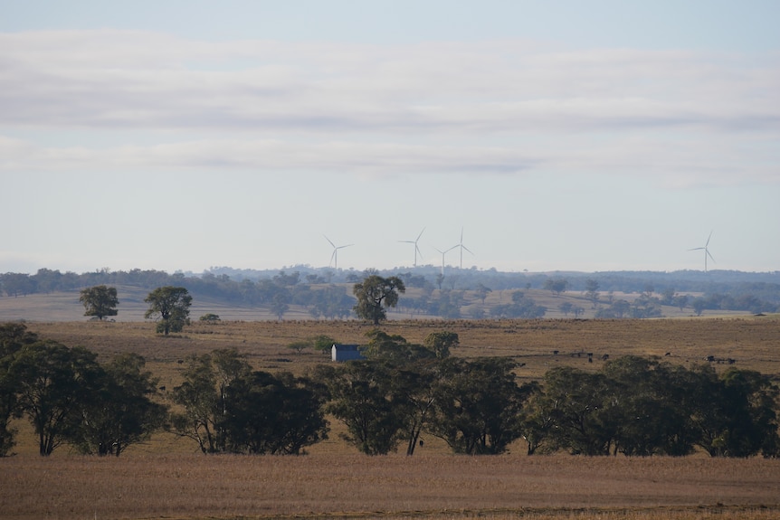Landscape with wind turbines in distance