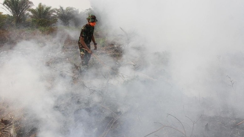 Kebakaran hutan dan lahan masih berlangsung di 4 provinsi yakni Riau, Jambi, Kalimantan Barat dan Kalimantan Tengah