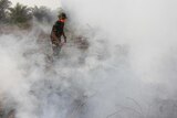 Kebakaran hutan dan lahan masih berlangsung di 4 provinsi yakni Riau, Jambi, Kalimantan Barat dan Kalimantan Tengah
