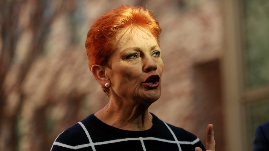 Pauline Hanson is mid sentence, wearing a navy jumper with white stripes. Her hair is glinting in the sun.