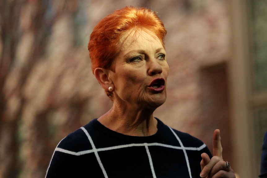 Pauline Hanson is mid sentence, wearing a navy jumper with white stripes. Her hair is glinting in the sun.