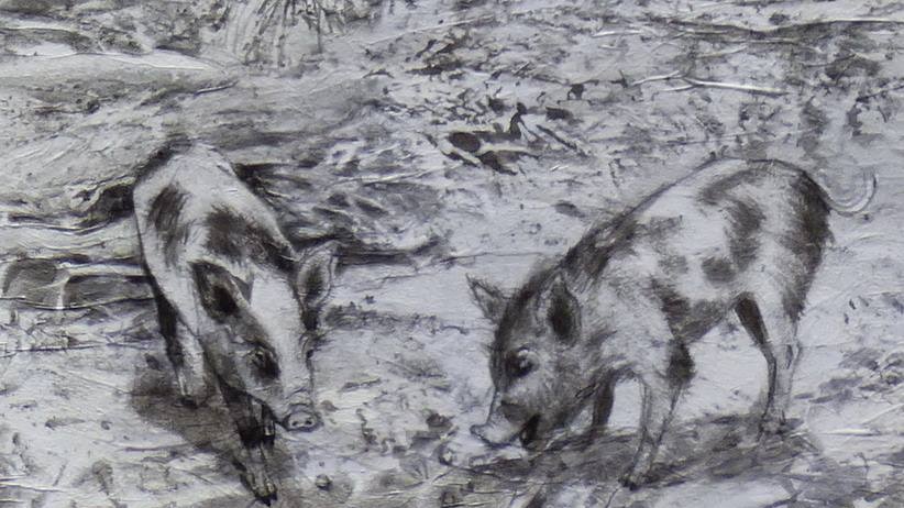 feral piglets drawn in pencil