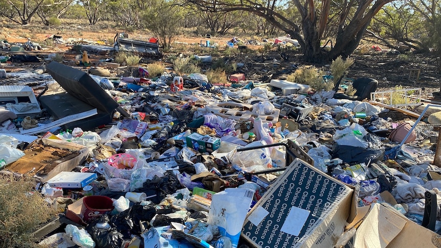 A massive pile of rubbish - boxes, plastic packaging, toys, old furniture dumped amongst the scrub.