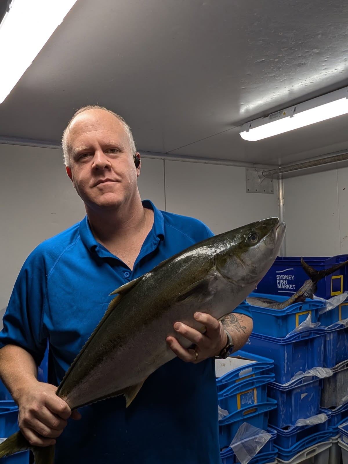 A man in a blue shirt holds a large fish inside a cool room.