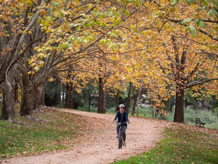 Woman riding on path.