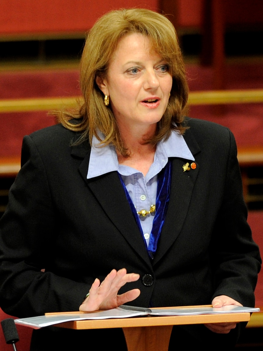 Senator Helen Kroger delivers her maiden speech in the Senate chamber in Canberra