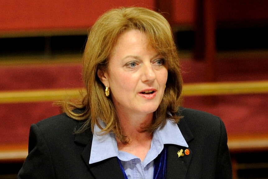 Senator Helen Kroger delivers her maiden speech in the Senate chamber in Canberra