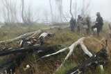 A group of people stand in a misty landscape among fallen trees. 