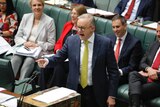 A middle-aged white man in a suit with a yellow tie and glasses yells and points while speaking in parliament.