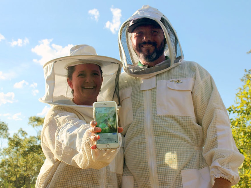 Couple stand in beekeeping suits, woman holds out mobile phone with pic of bee on it