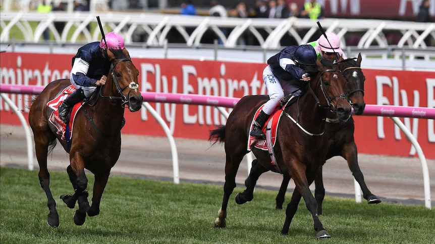 Rekindling (L) closing in on Johannes Vermeer (C) and Max Dynamite (R) in the 2017 Melbourne Cup.