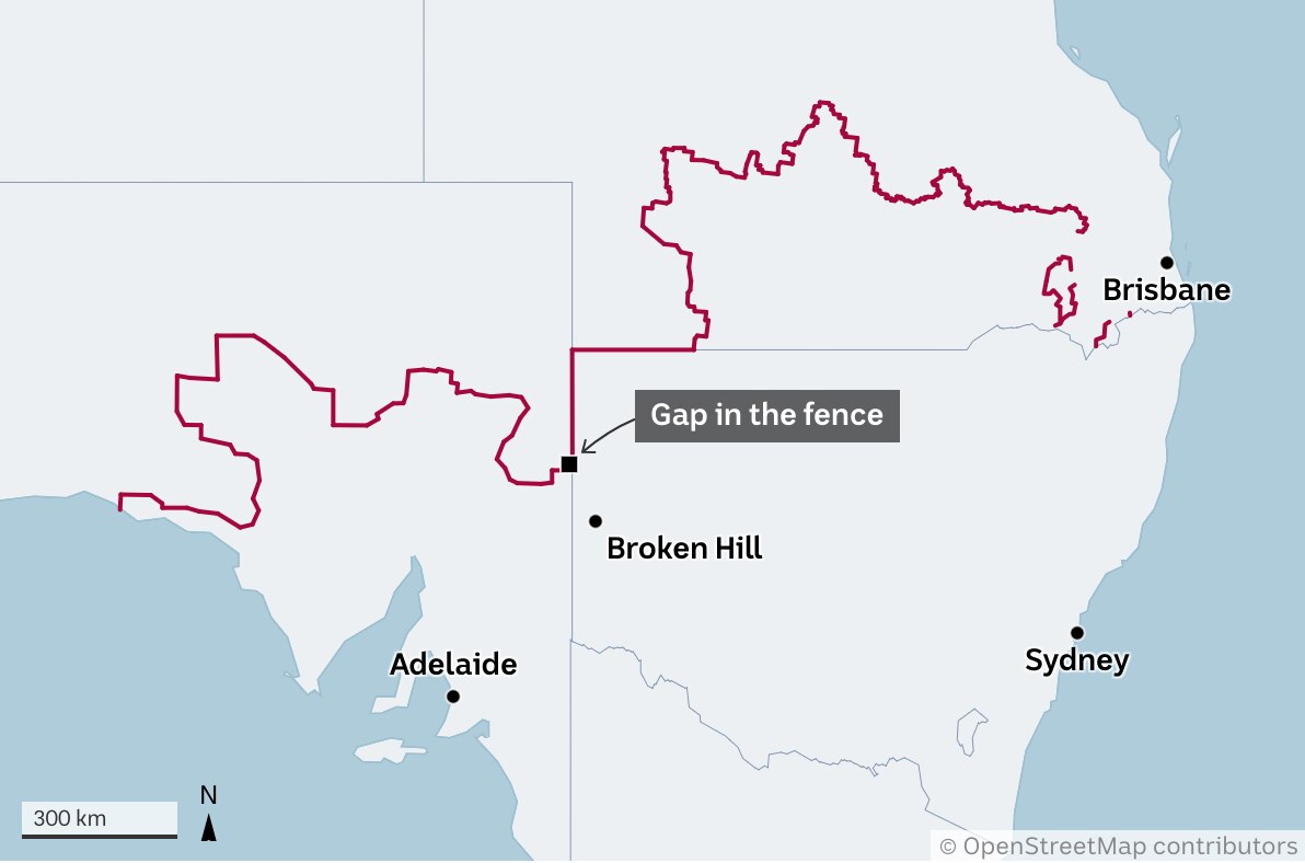 A map depicting Australia&#x27;s dingo/dog fence and pinpointing the location of a 32km gap.