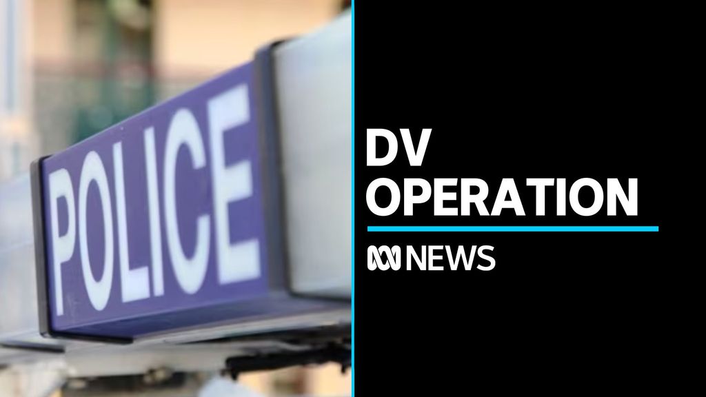 Almost 600 domestic violence offenders arrested in NSW - ABC News