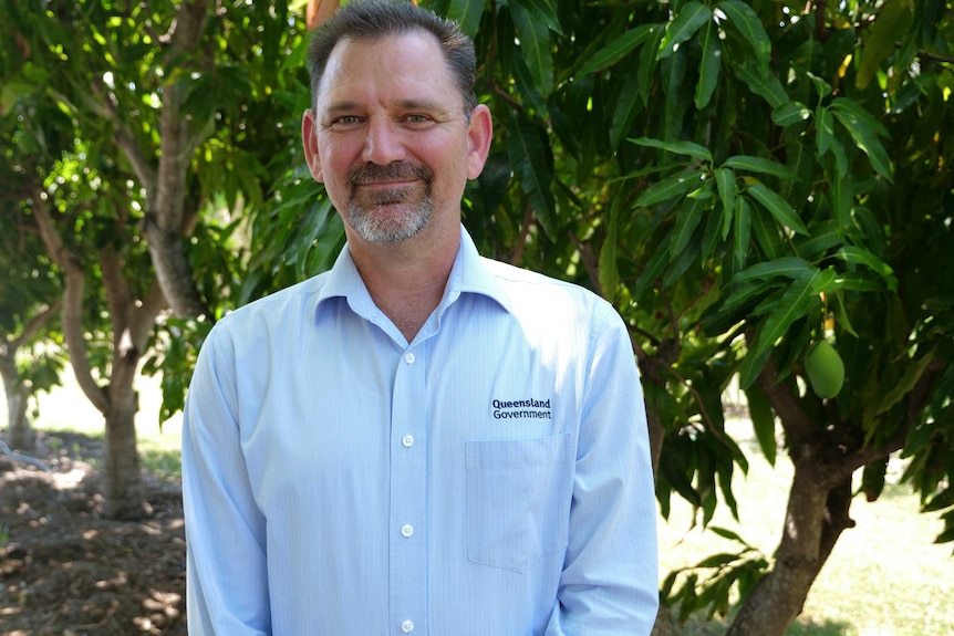 Department of Agriculture and Fisheries central region director Stephen Smith stand in front of mango tree