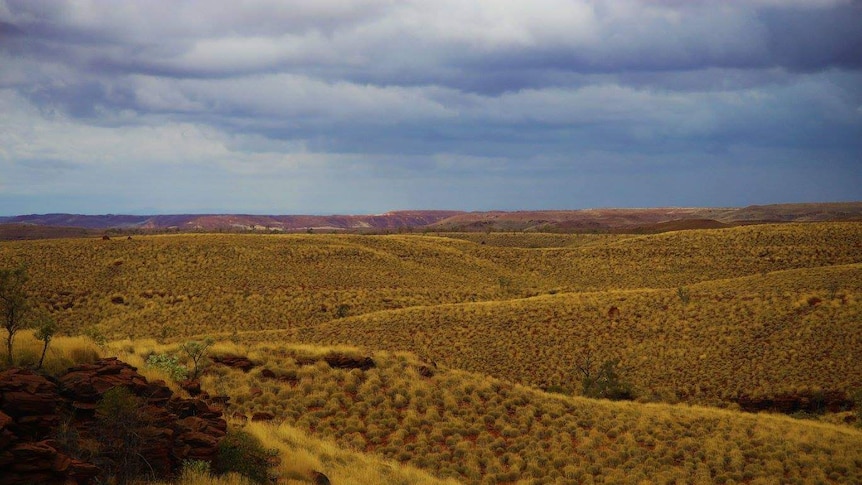 Rolling hills dotted with spinifex and rich red soil extend over a cloudy sky in WA's remote Pilbara