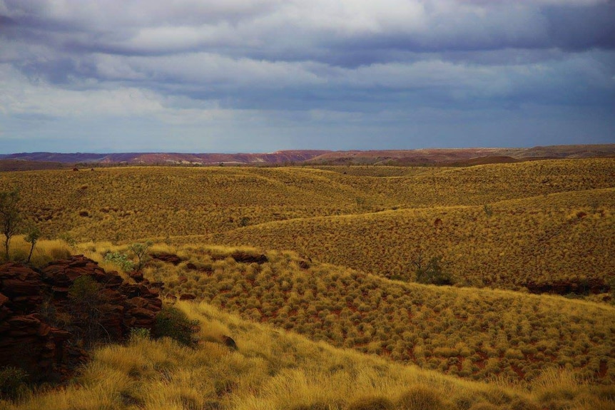 Rolling hills dotted with spinifex and rich red soil extend over a cloudy sky in WA's remote Pilbara