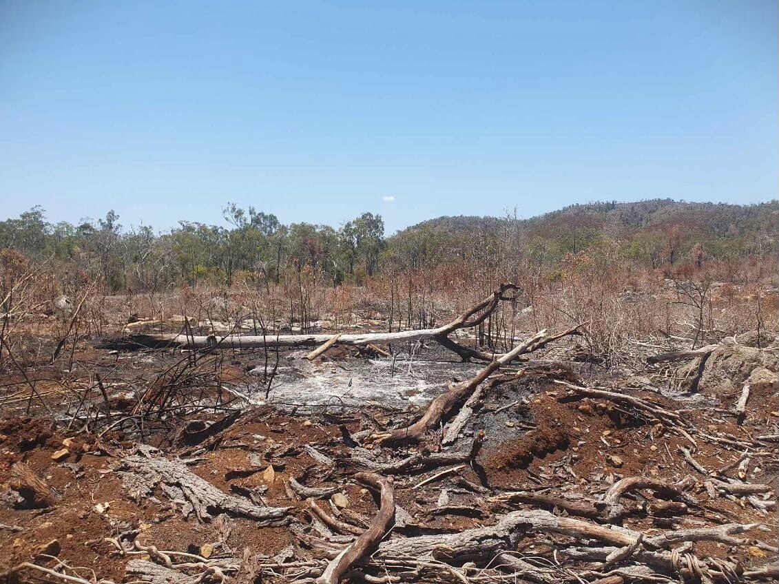 A burnt looking landscape with trees knocked down and ash on ground
