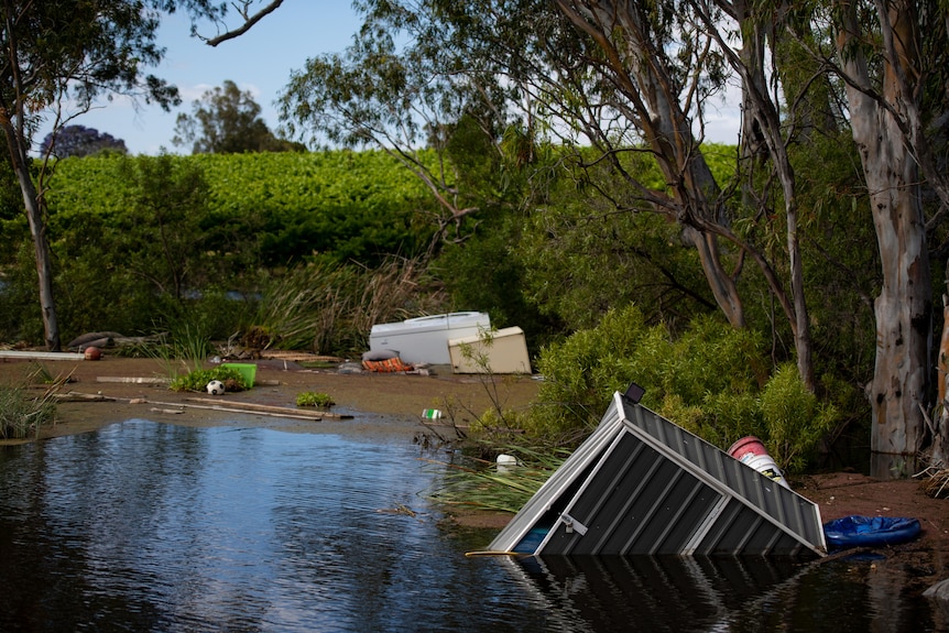 A shed, a fridge and other rubbish in a river next to a vineyard