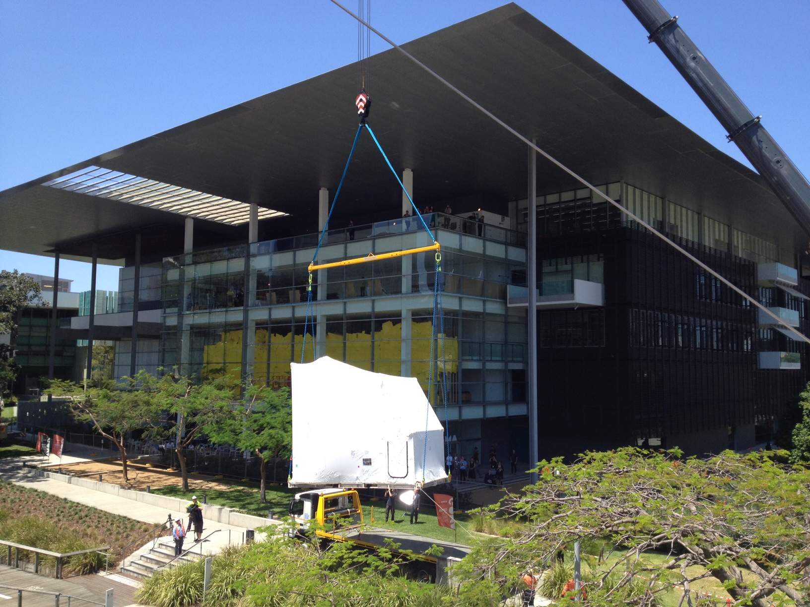 Bronze elephant sculpture arrives at GoMA ABC News