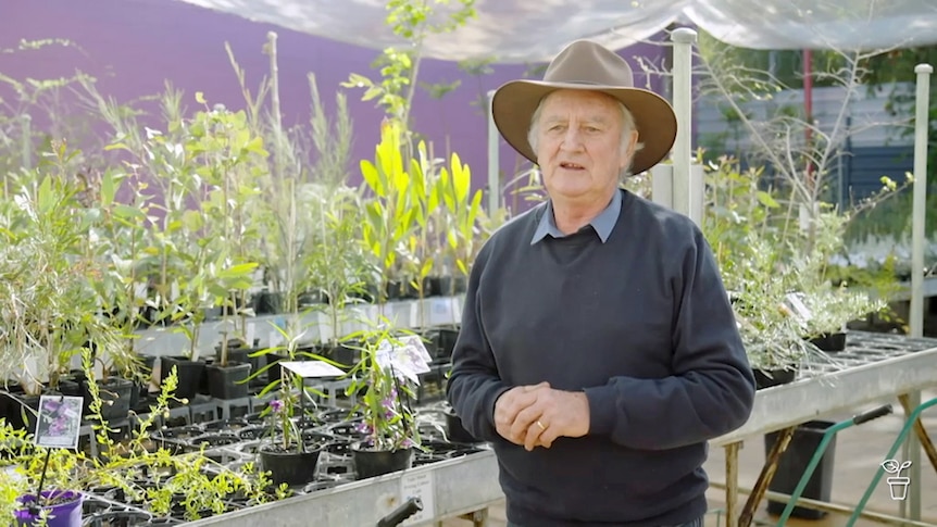 Geoff Miers in a nursery filled with native seedlings in pots.