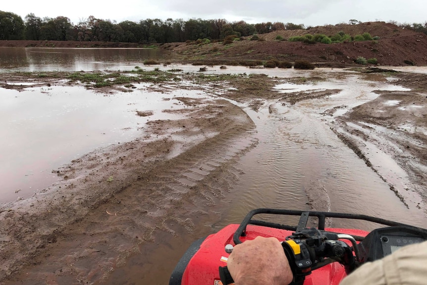 Flooded fields from the point of view of a man riding a quad bike