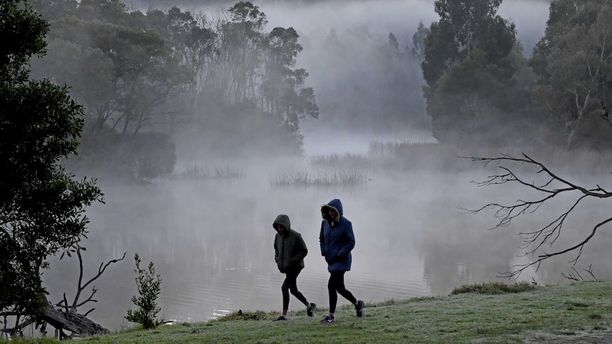 Two people walk on the grass in the morning fog at Birdsland reserve, in Belgrave South.