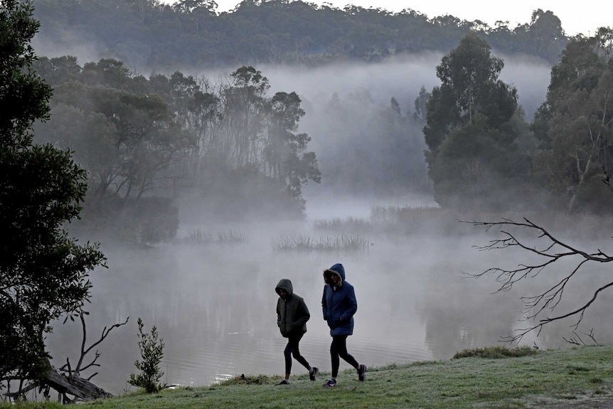 Two people walk on the grass in the morning fog at Birdsland reserve, in Belgrave South.