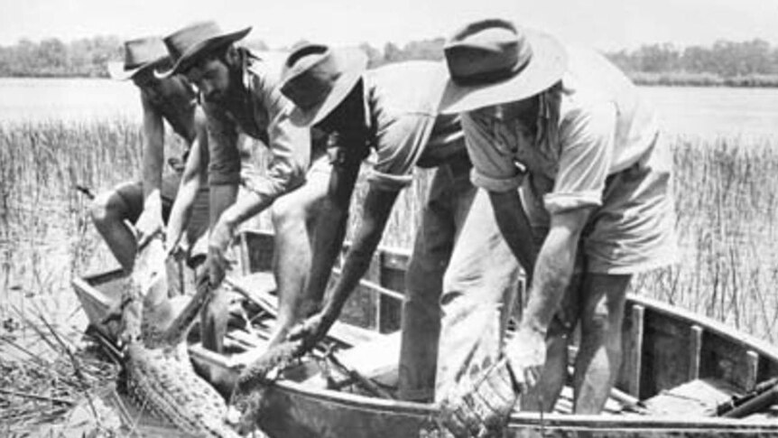 Crocodile hunters in the Northern Territory in the 1960s