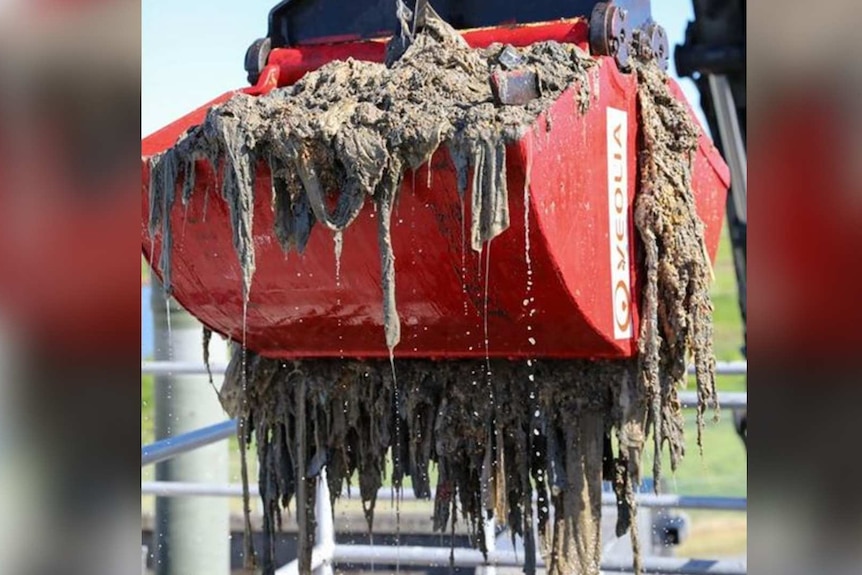 A bobcat picking up a sopping wet fatberg from a sewer