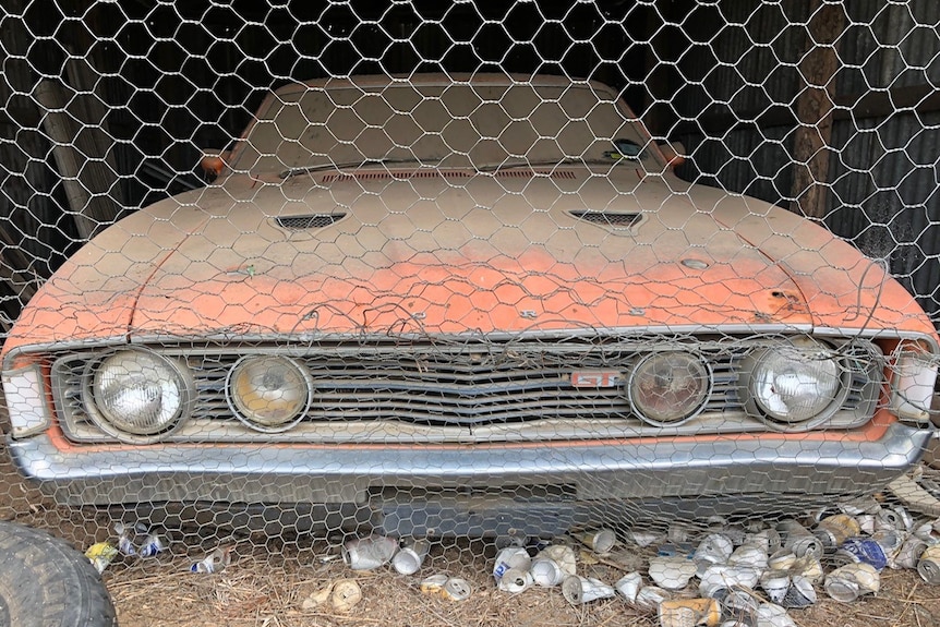 An orange car covered in dirt sits in a shed behind wire.