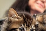 The RSPCA is urging people to source information about their prospective pet before taking it home.