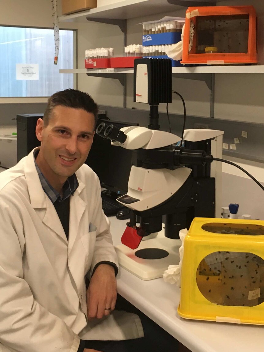 A man sits in laboratory