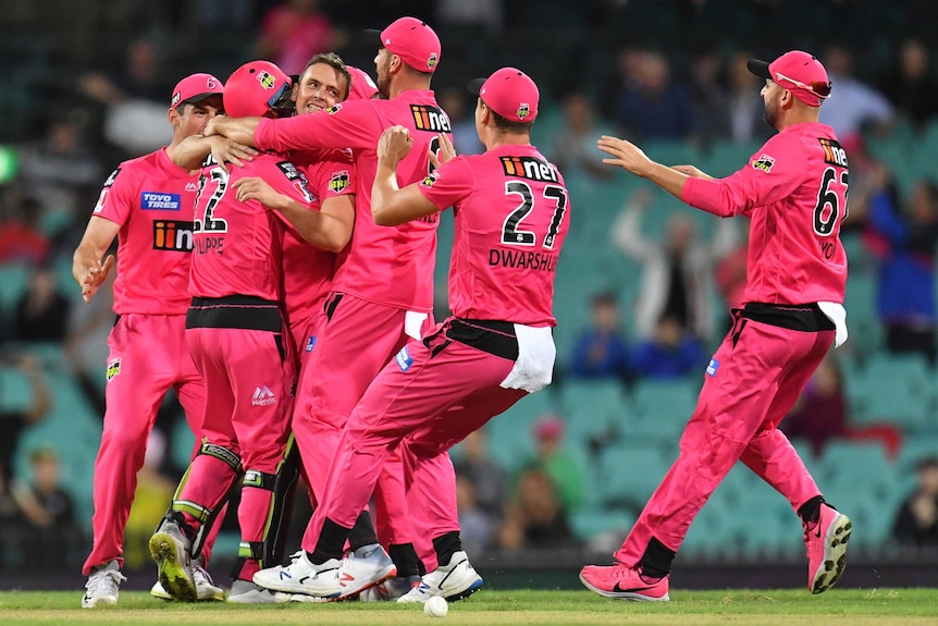 A group of Sydney Sixers in their pink kits celebrate a wicket.