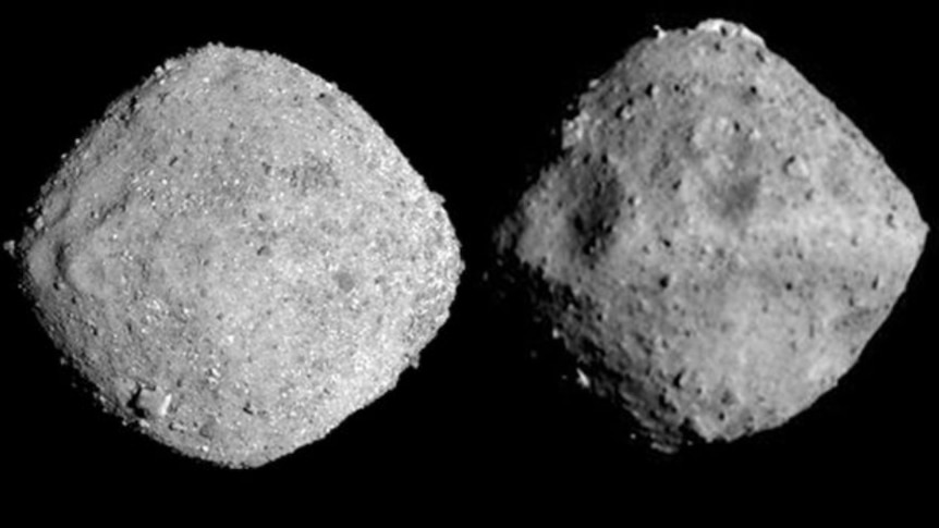 Two diamond-shaped grey rocks side by side