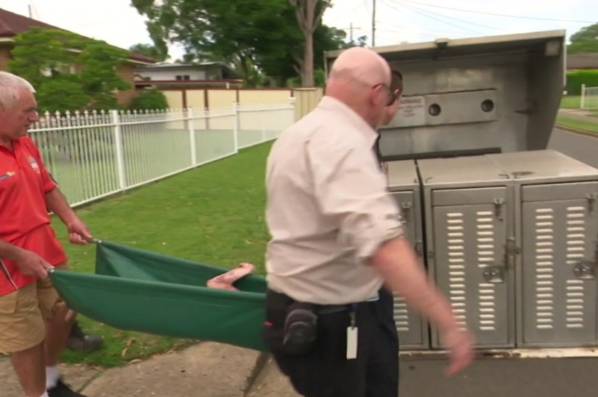 Dog handlers remove a sedated dog from a home and put it into a vehicle