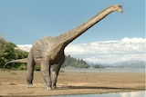 Graphic image of dinosaur Wintonotitan wattsi - Watts' Winton Giant