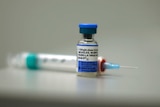 A close-up shot of a measles vaccine in a vial with a needle lying next to it.