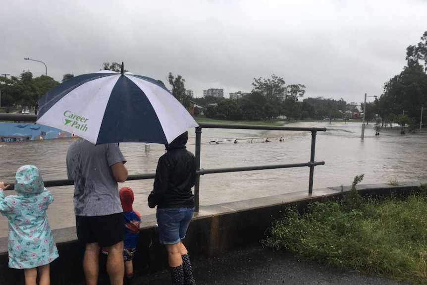 A family of four watch on as the levels of norman creek rise in Greenslopes.