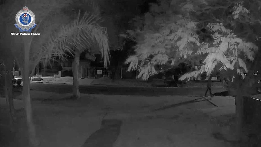 A still image from CCTV footage showing a figure walking near trees on a street