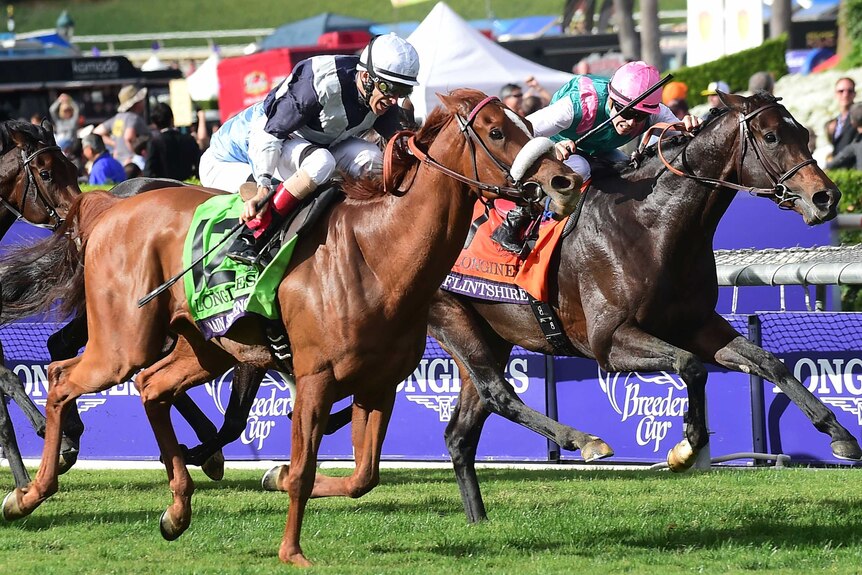Main Sequence wins Breeders' Cup Turf