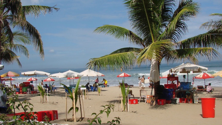 Palm trees and unmbrellas stand on a Bali beach, with water and blue skies in the background.