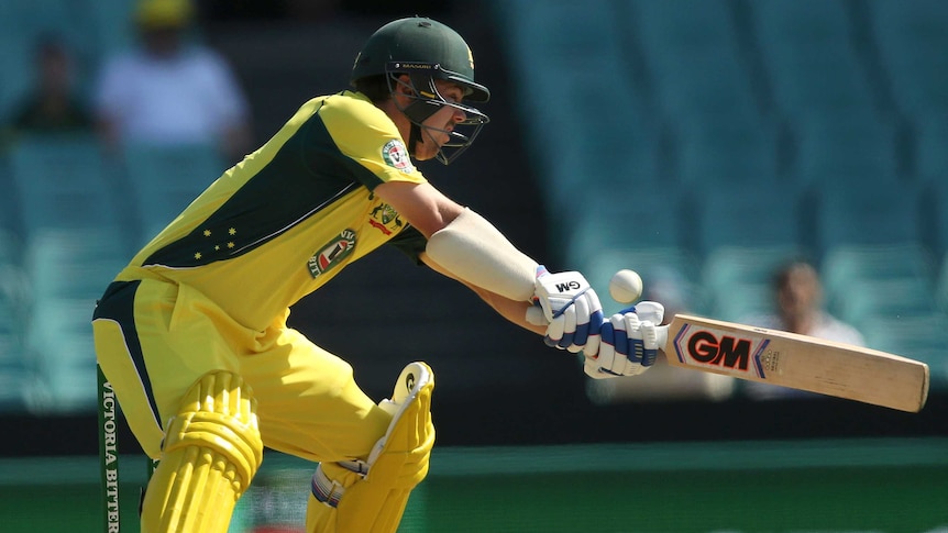 Travis Head cuts at New Zealand's bowling