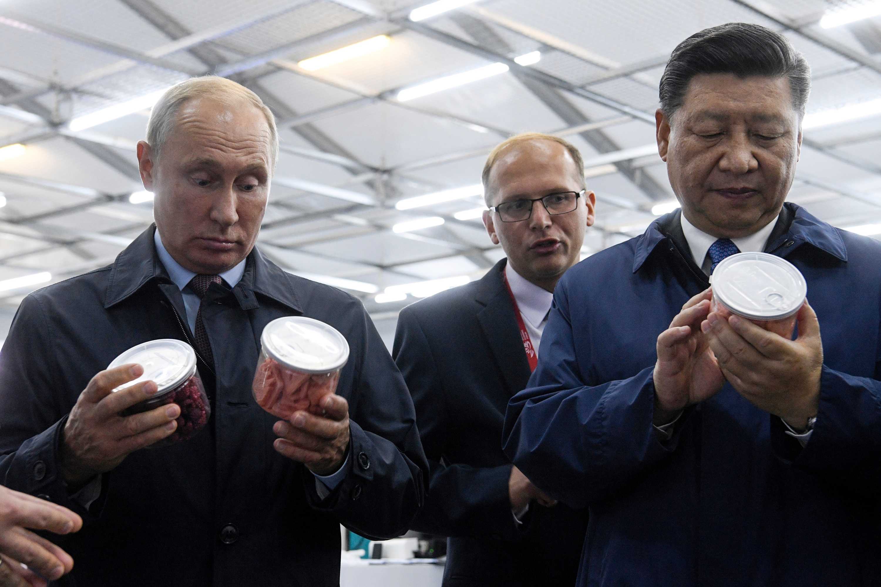 Vladimir Putin And Xi Jinping Have A 'bromance', But Do China And ...