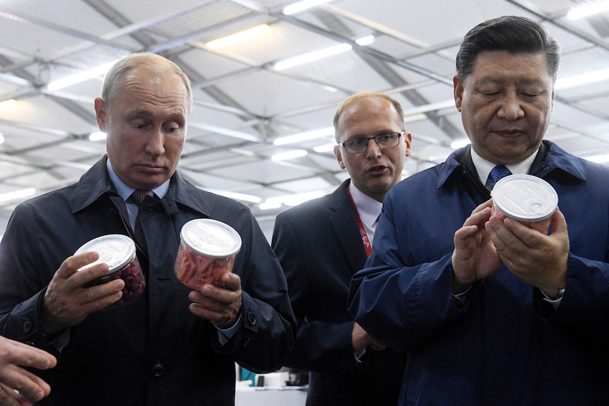 Russian and Chinese presidents Vladimir Putin and Xi Jinping examine jars of food
