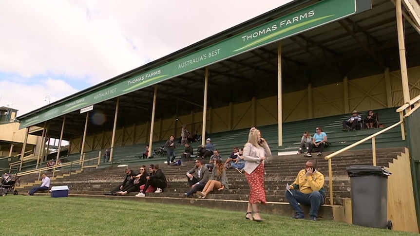 A mostly empty old grandstand