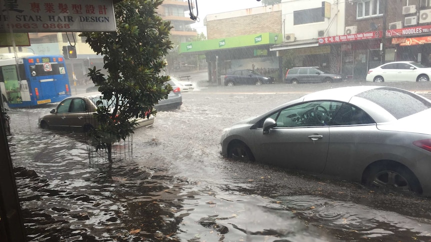 Cars under water on Anzac Parade at Kingsford in Sydney's east during storms.