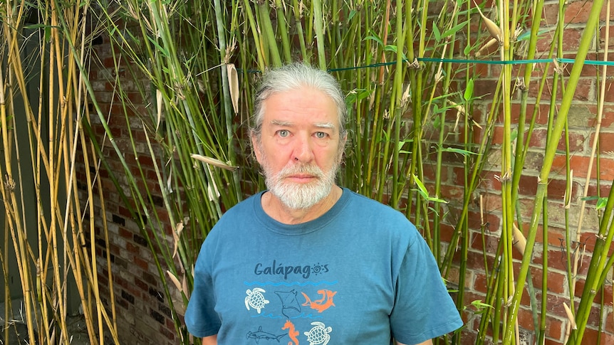 A man stands in front of bamboo plants.