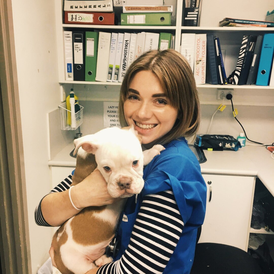 Kennel cough is on the rise across dog parks. Here's what you need to