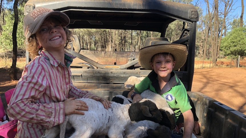 Two young kids sit in the back of an ATV with some small lambs